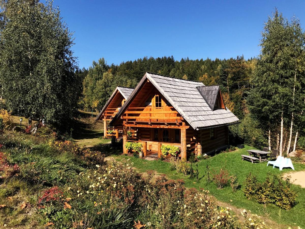 Lesniowka Domki W Karpaczu Exteriör bild