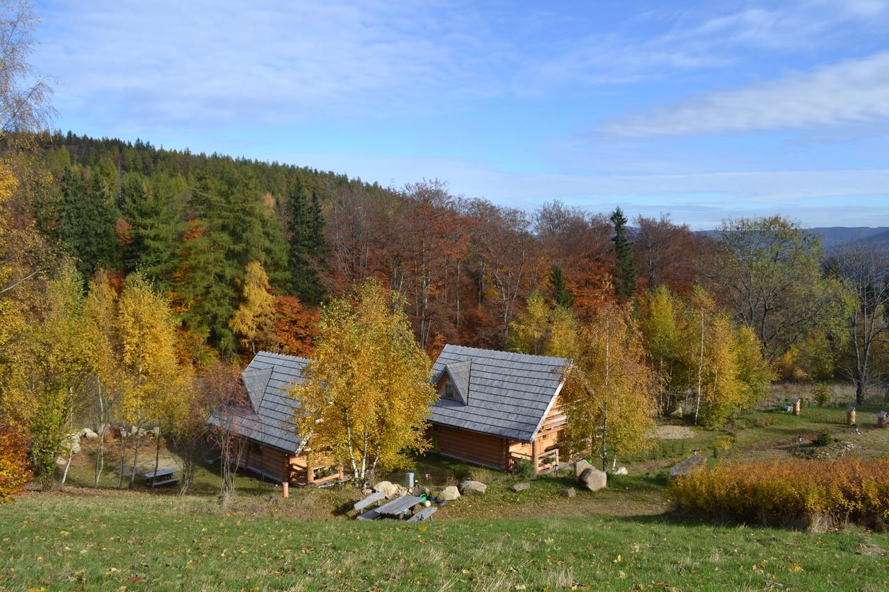 Lesniowka Domki W Karpaczu Exteriör bild