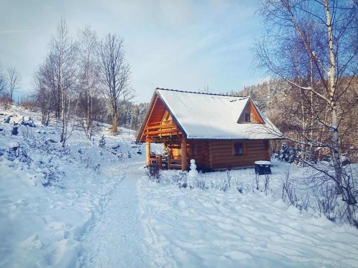 Lesniowka Domki W Karpaczu Exteriör bild